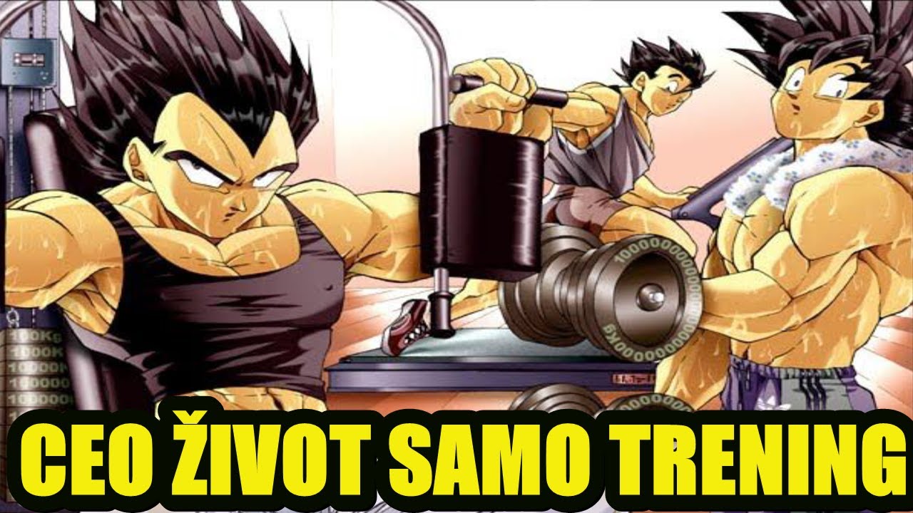 Najbolja metoda treninga u Zmajevoj Kugli
