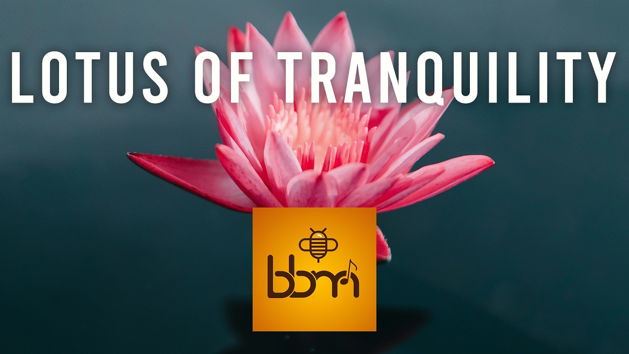 Lotus of Tranquility (Relaxing Meditation Yoga Atmosphere - Royalty Free Music)