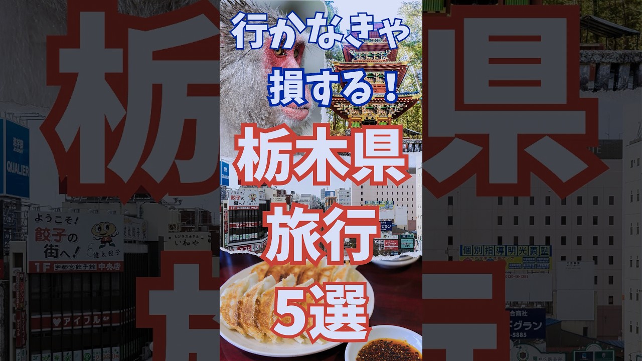 栃木 旅行 5選 , 行かなきゃ損する 栃木県 おすすめ観光 #shorts