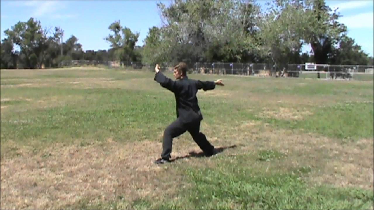 Chen Tai Chi: Old Frame First Form (Chen Taijiquan Lao Jia Yi Lu) - Front View