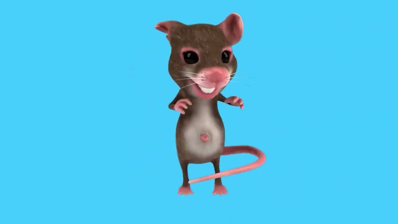 Funny video for kids 