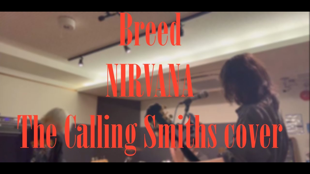 Breed-NIRVANA (The Calling Smiths cover)