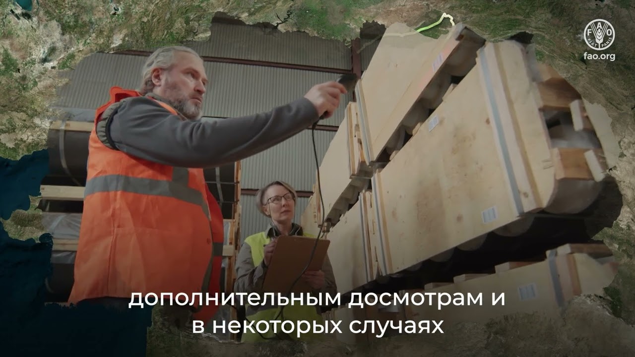 Безопасная помощь в период кризиса: защита здоровья растений