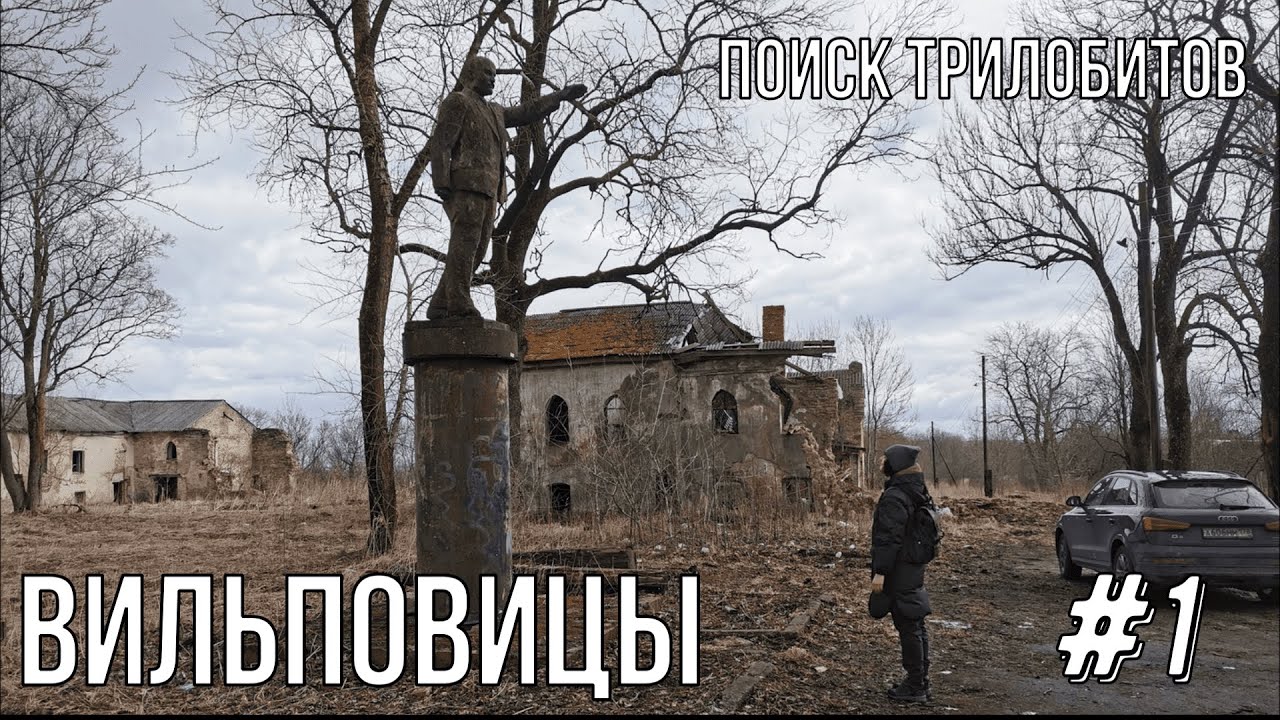 Поиск трилобитов карьер Вильповицы  /Searching for Trilobites.