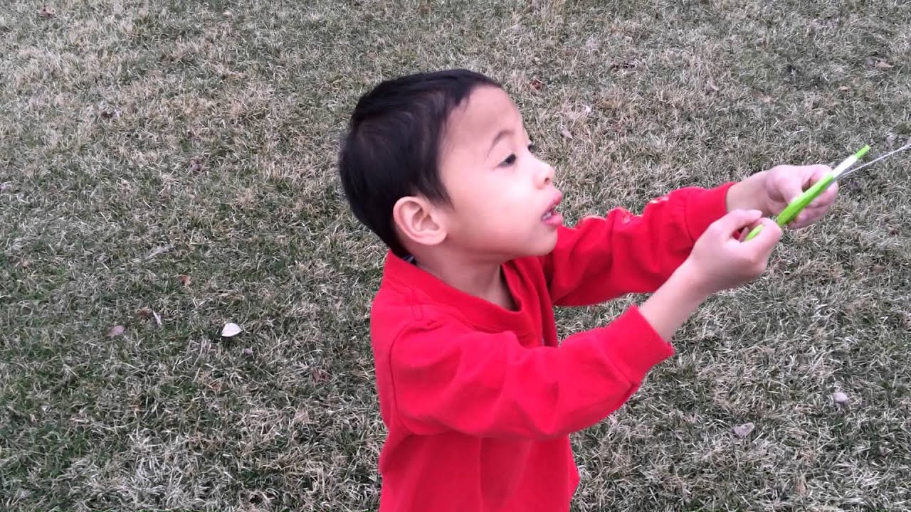 Kite Flying at Berens Park 4/12/14