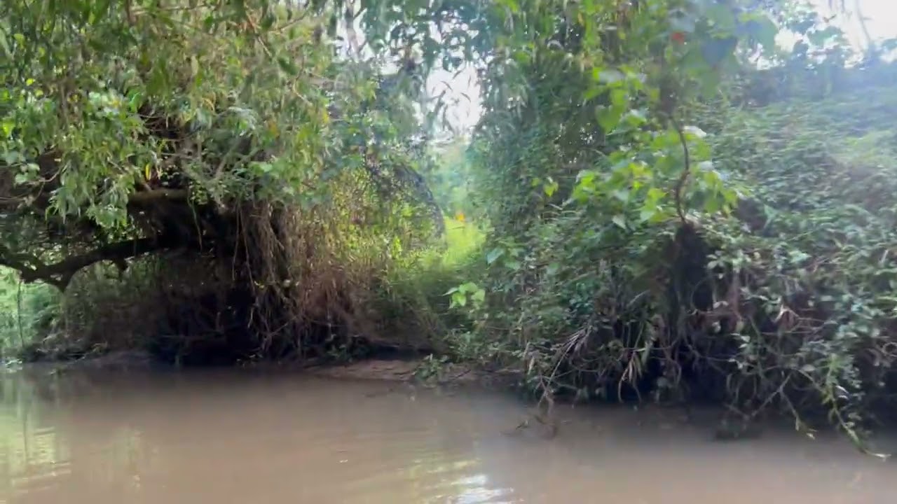 # kerol# back water#