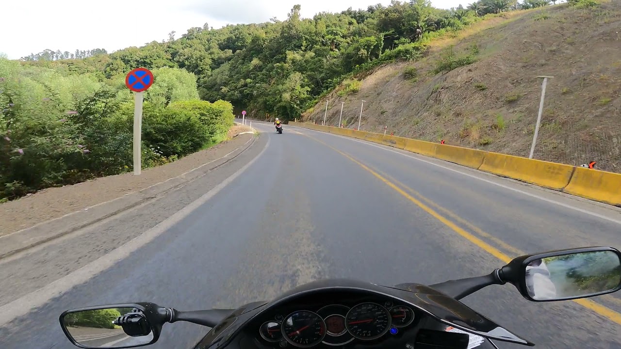 motovlog Taneatua Gorge.