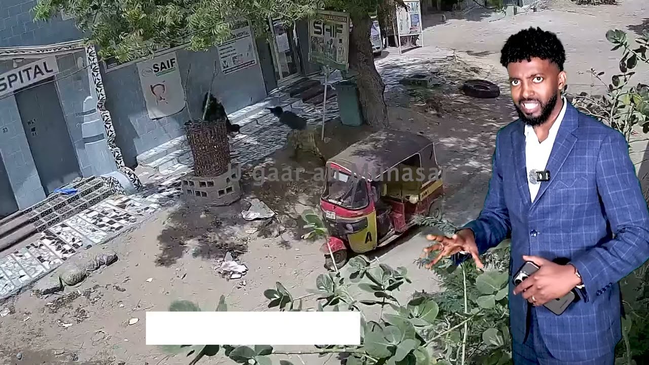 Bal ila arka waxa ku dhacaya gabadhan markii ay bajaajta uga soo dateen burcad manaxayaal ah ?