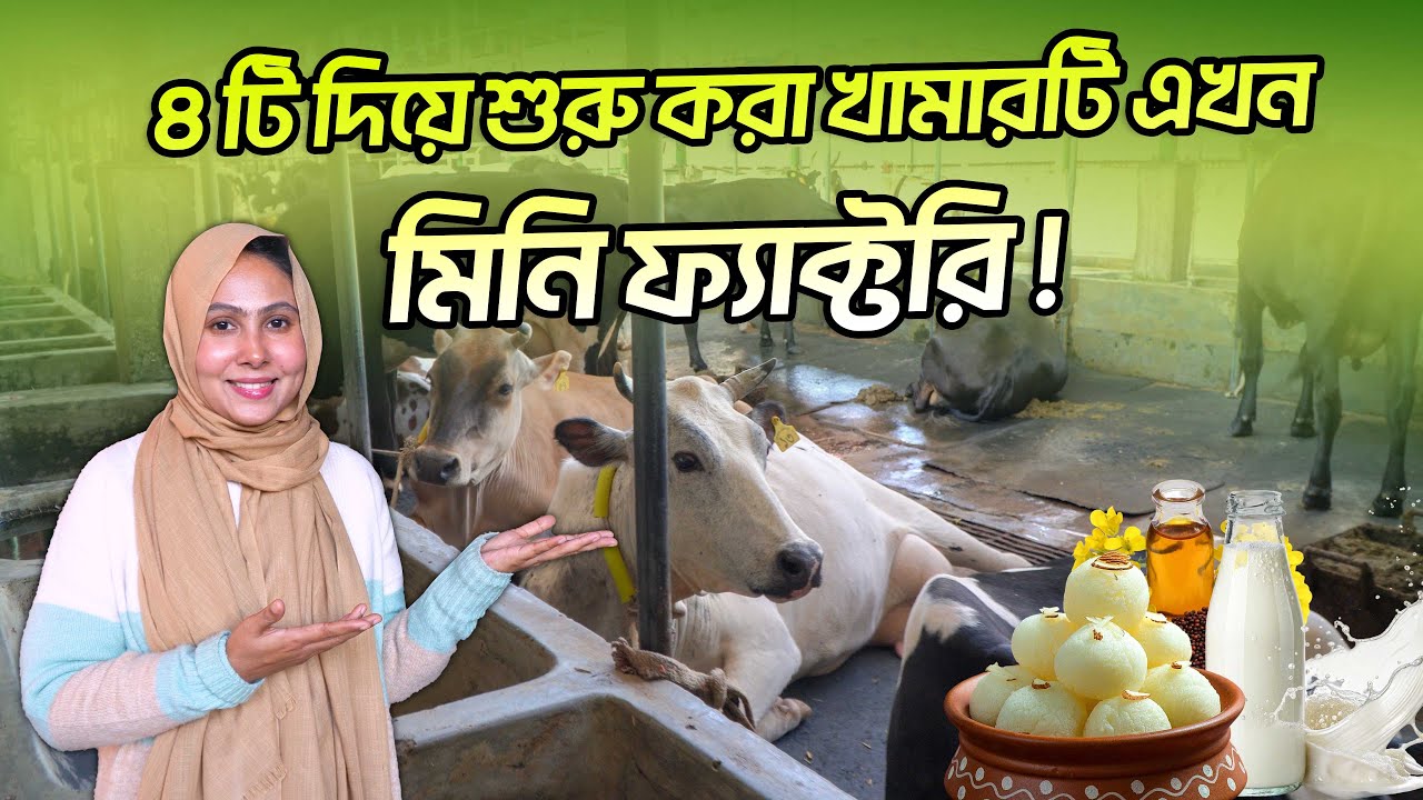 খামার নয় মিনি ফ্যাক্টরি । দুধ, ঘি, মিষ্টি, সরিষার তেল সহ ৫২  প্রোডাক্ট নিয়ে নর্থ বেঙ্গল ডেইরী । ঢাকা