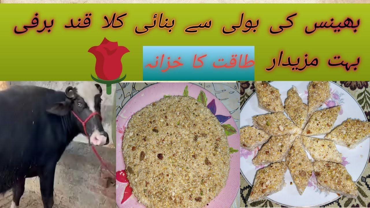 , Bhains ki boli se Banai kalakand Barfi bahut hi mazedar takat Ka Khazana🌷💐