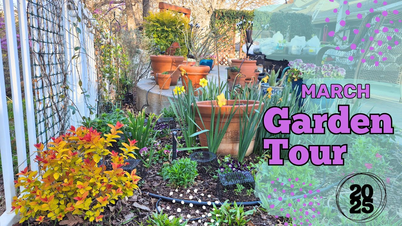 March 2025 Backyard Garden Tour! NEW Seedlings Planted! Everything is Coming to LIFE! #springgarden