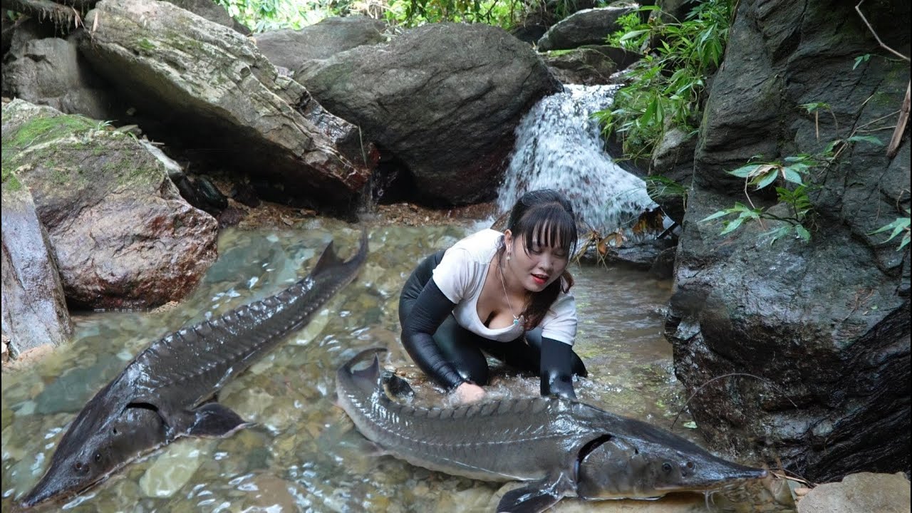 how i catch fish in small streams in the forest. mountain life