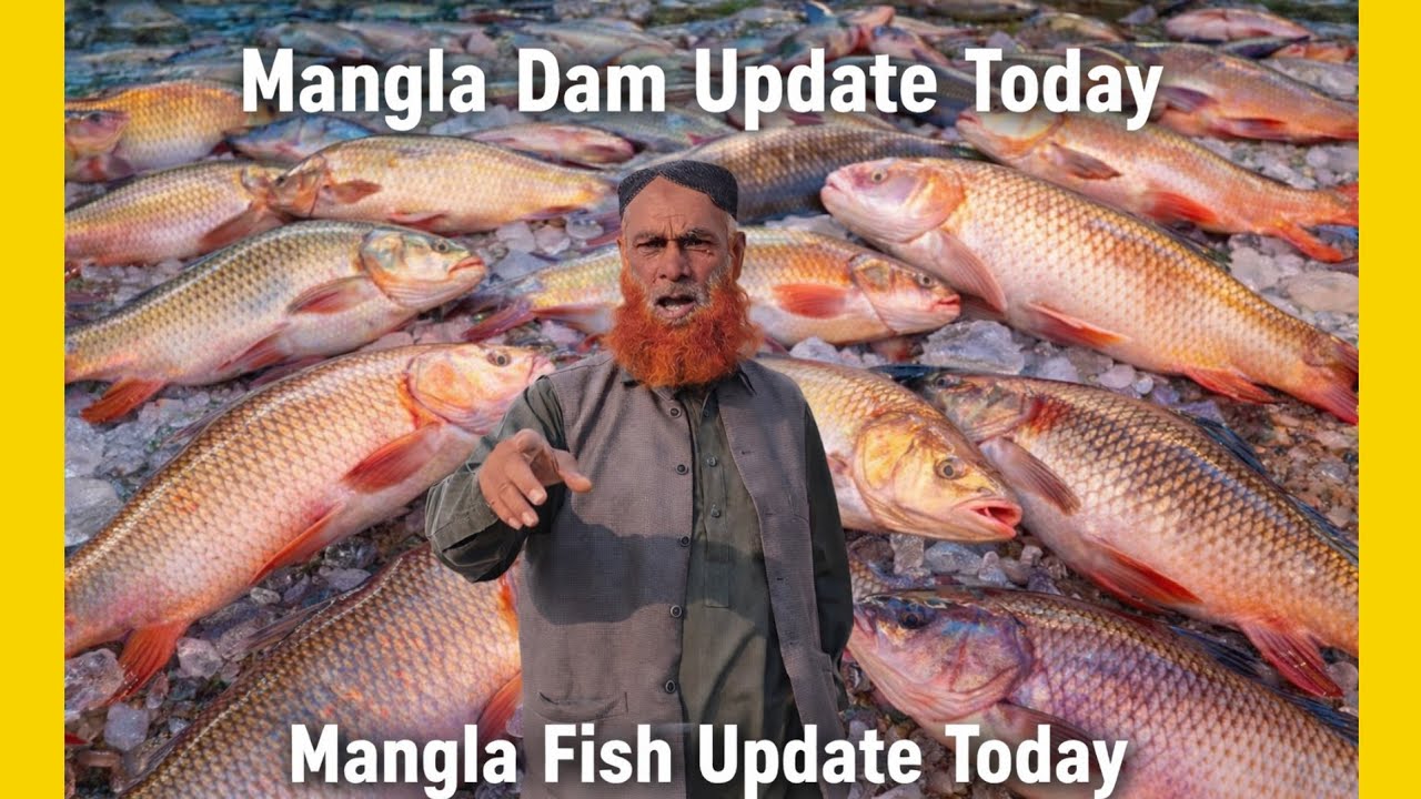 Mangla Dam Water Level Update Today | Fishing Activity & Fresh Catch Report 2026