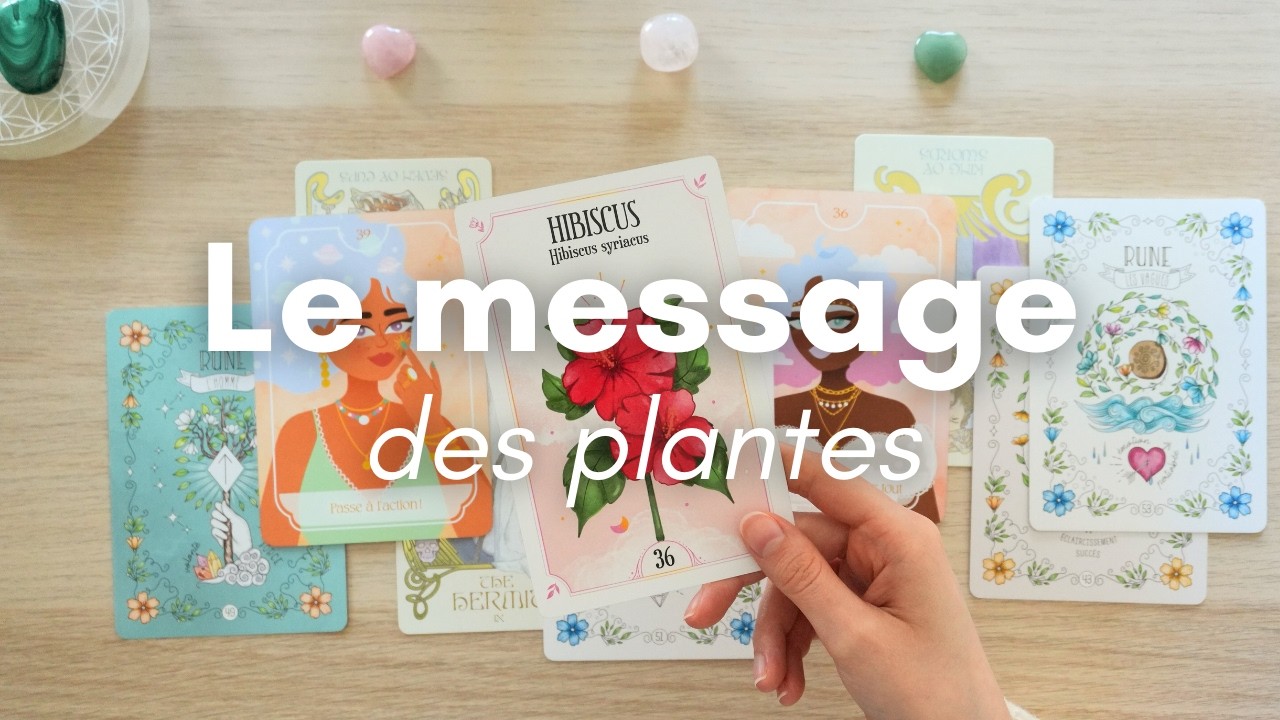 Tu as besoin d'entendre ce message ! INTEMPOREL 🌺 3 choix