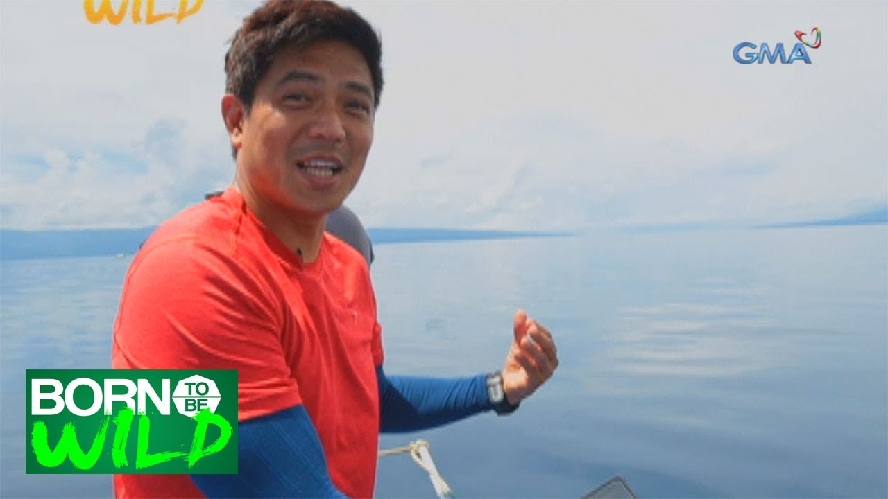 Born to be Wild: Doc Nielsen interacts with Indo Pacific Bottlenose Dolphin