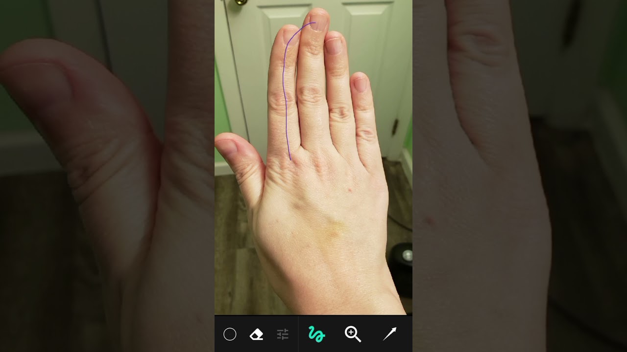 #shorts #palmistry #chirology