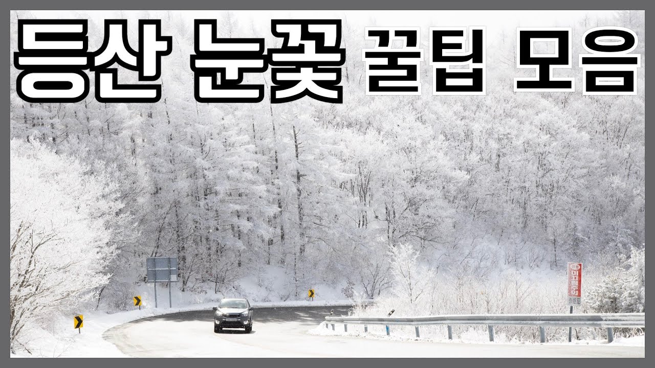 등린이 눈꽃 & 상고대 보는 꿀팁 | 산린이 | 등산 초보