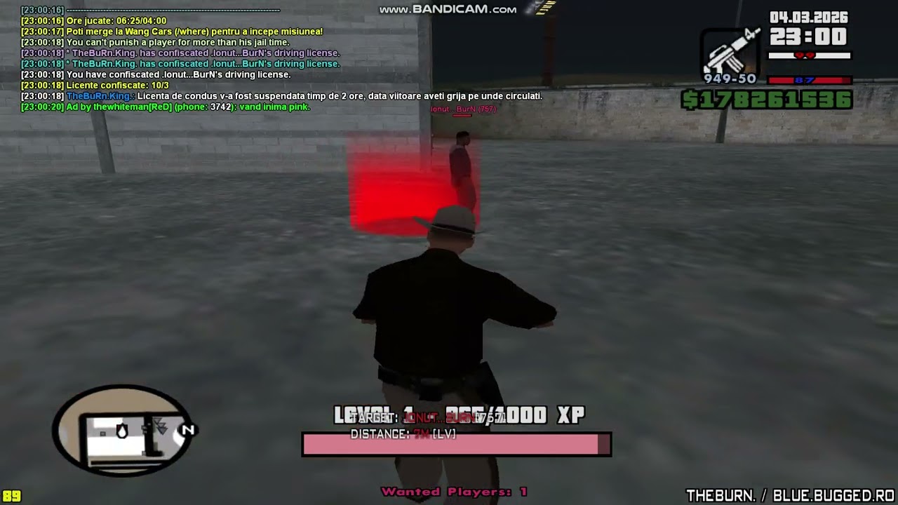 dovada wanted ionut