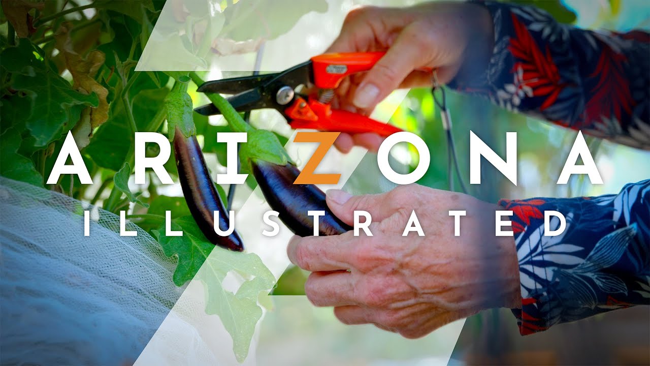 Arizona Illustrated 1214: Backyard Gardening & Strawbale building