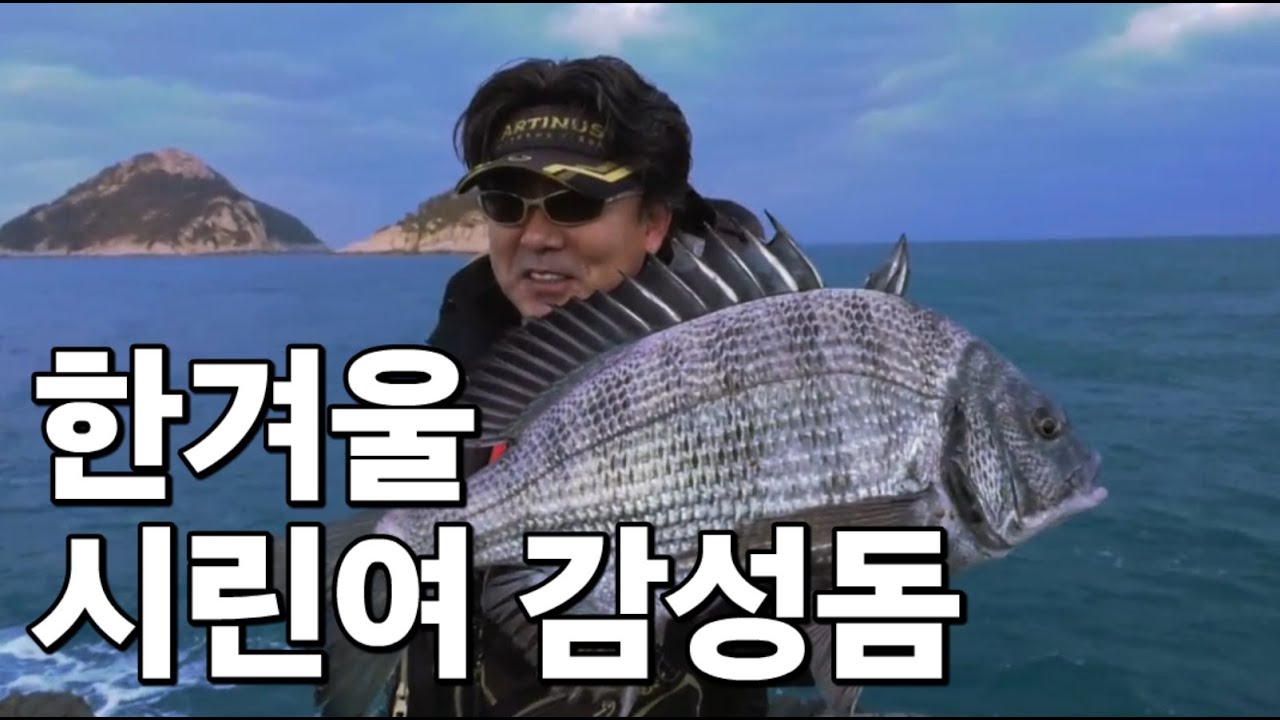 한겨울 추자도 작은 시린여에서 감성돔 낚시에 도전해본다 #박진철프로