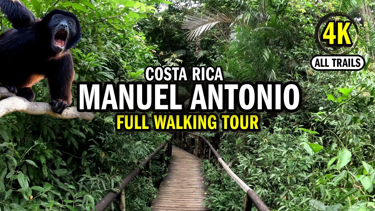 Manuel Antonio National Park - Full Walking Tour in 4K | Costa Rica