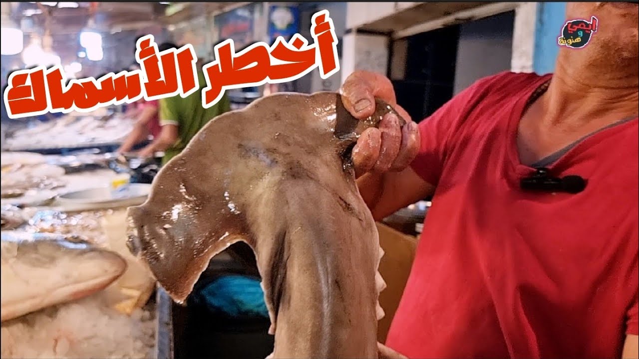 البياع الوحيد اللي عنده اغرب واغلي المأكولات البحرية في مصر