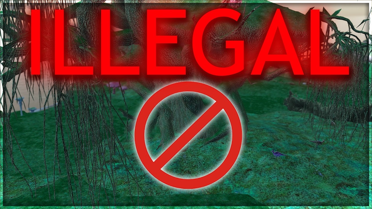 To miejsce bazowania jest całkowicie nielegalne...