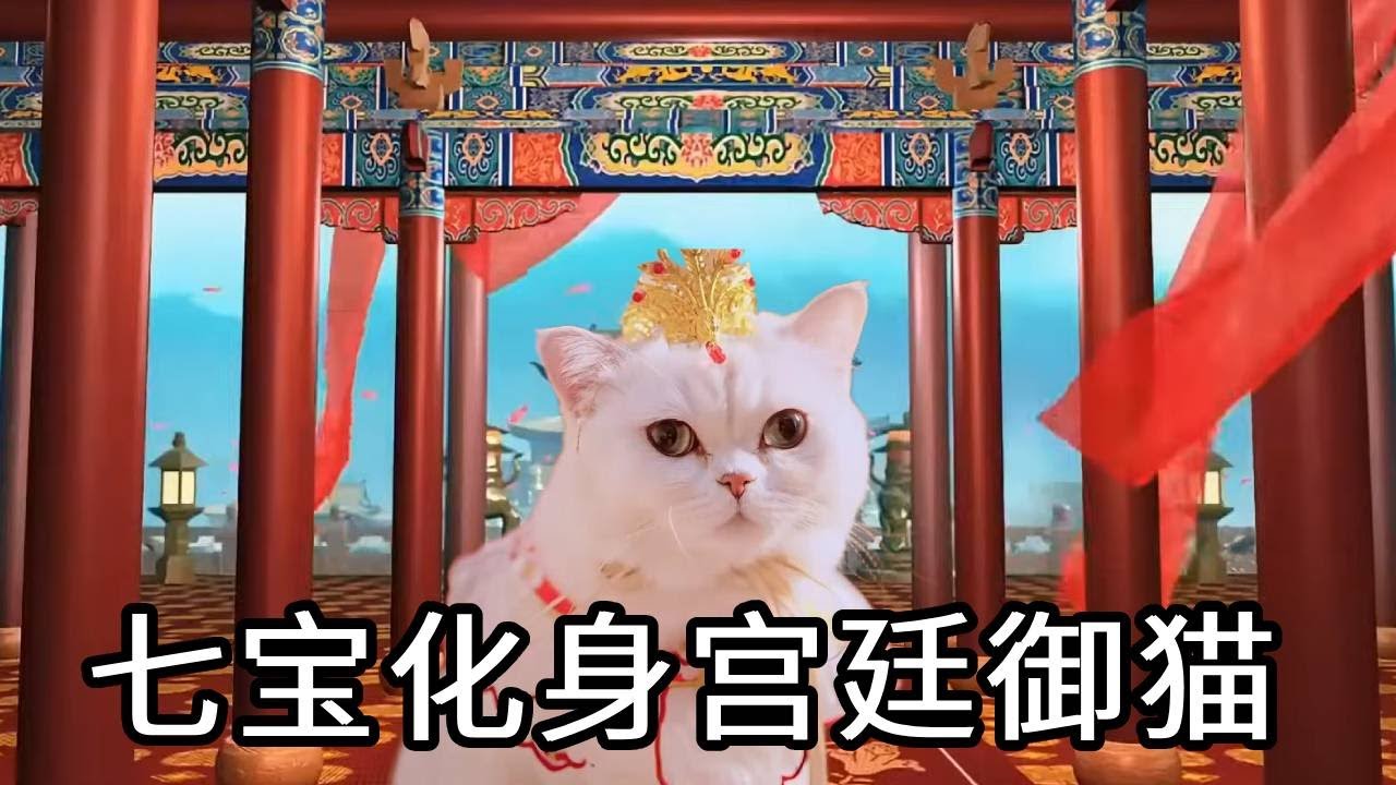 惊掉下巴！七宝竟化身宫廷御猫，还亲自下场招聘 &ldquo;侍从&rdquo;？这排面绝了😂【七宝小圆子】