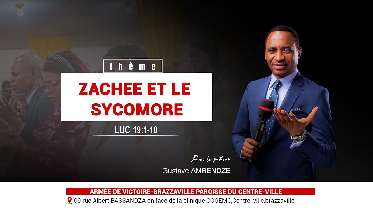 ZACHEE ET LE SYCOMORE