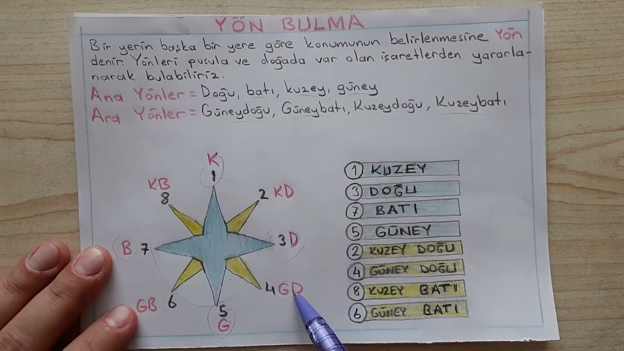 Dakikhoca ile ara be ana yönler, yön bulma #sosyalbilgiler #bursluluksınavı #lgs