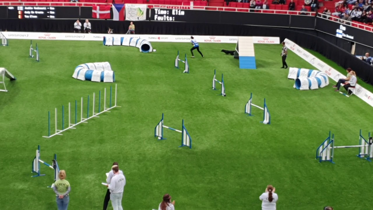 FINLAND Large TEAM AGILITY AWC 2019