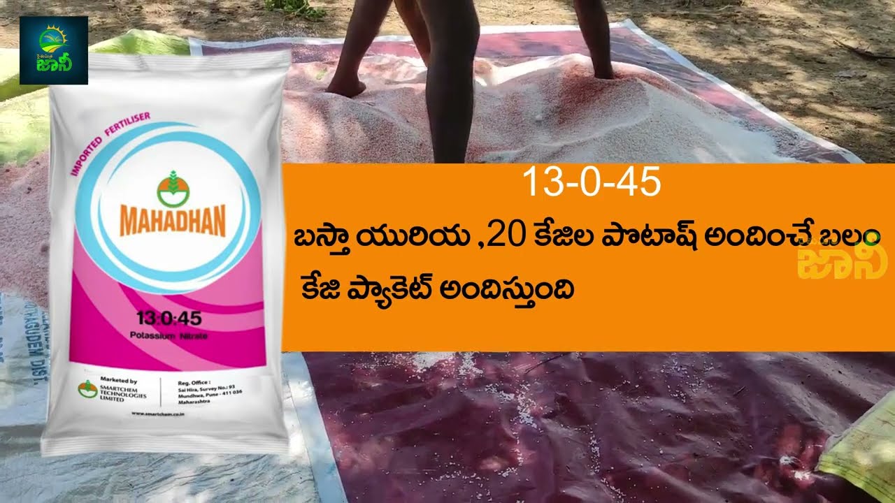 N:P:K 13-0-45 | Nutrients for High Yielding | Agriculture | Tips to Farmers