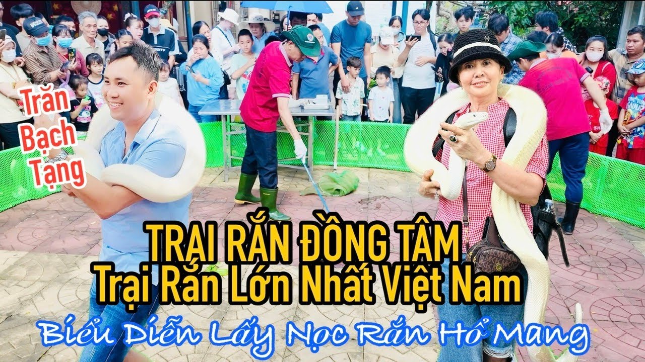 Trải Nghiệm Trại Rắn Đồng Tâm Tiền Giang – Vừa Rùng Rợn Vừa Hấp Dẫn | Travel Tien Giang, Viet Nam