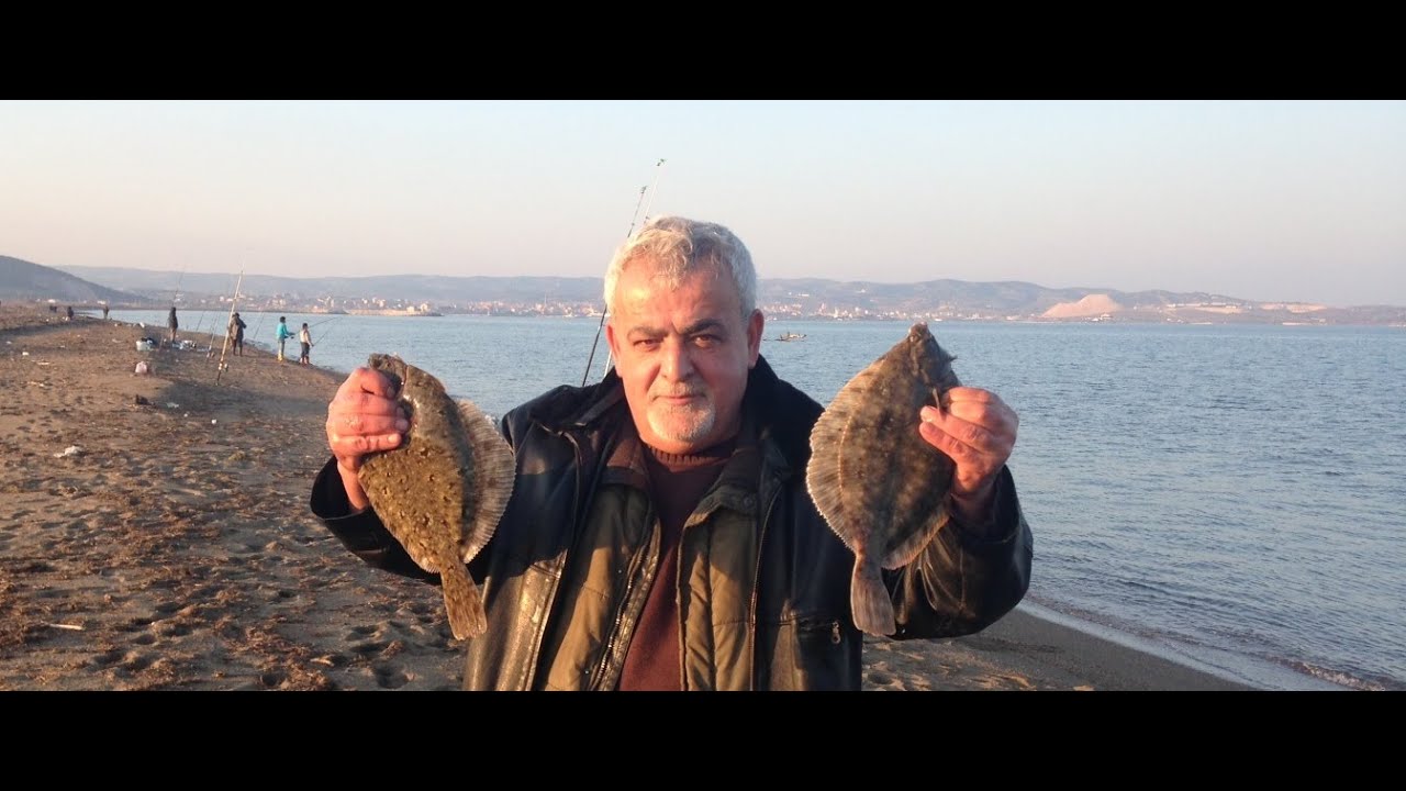 KALKAN ve PİSİ teknikleri.Nasıl yem, nasıl takım ?psetta maxima,flounder,steinbutt,flunder,rodaballo