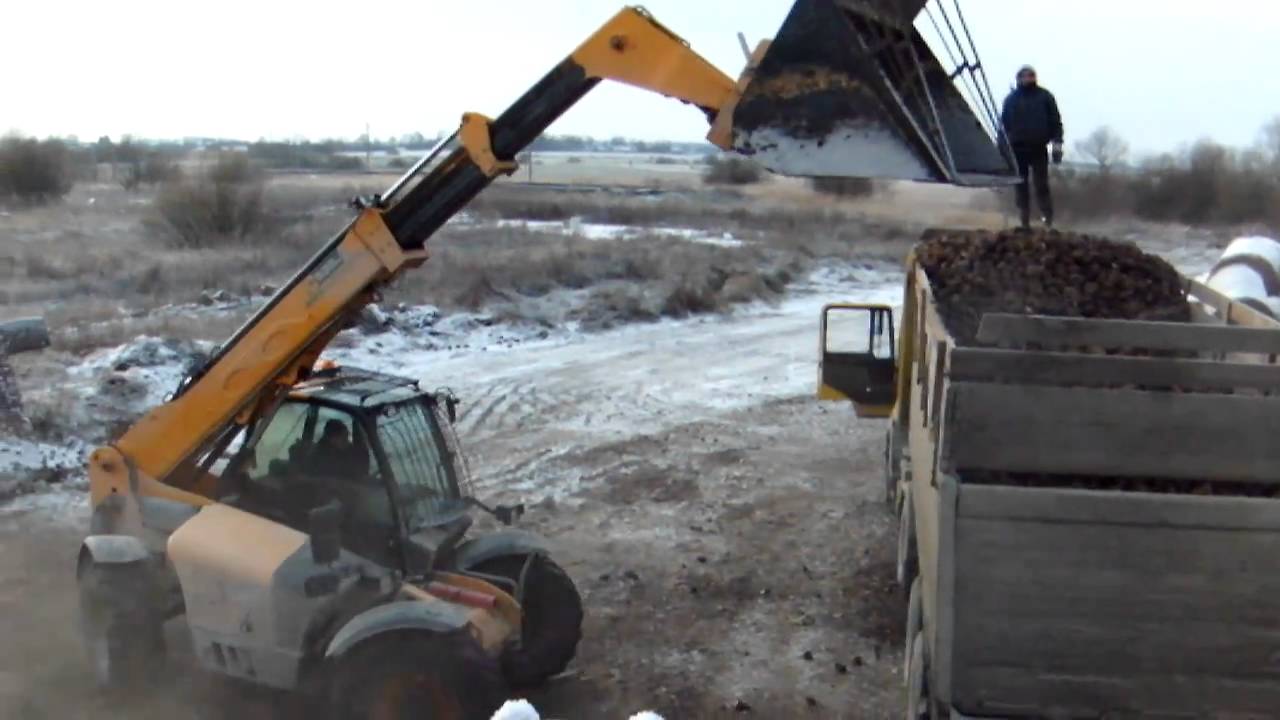 JCB 535-95 Agri Super loading sugar-beets (2010-11-28) [www.plakys.lt]
