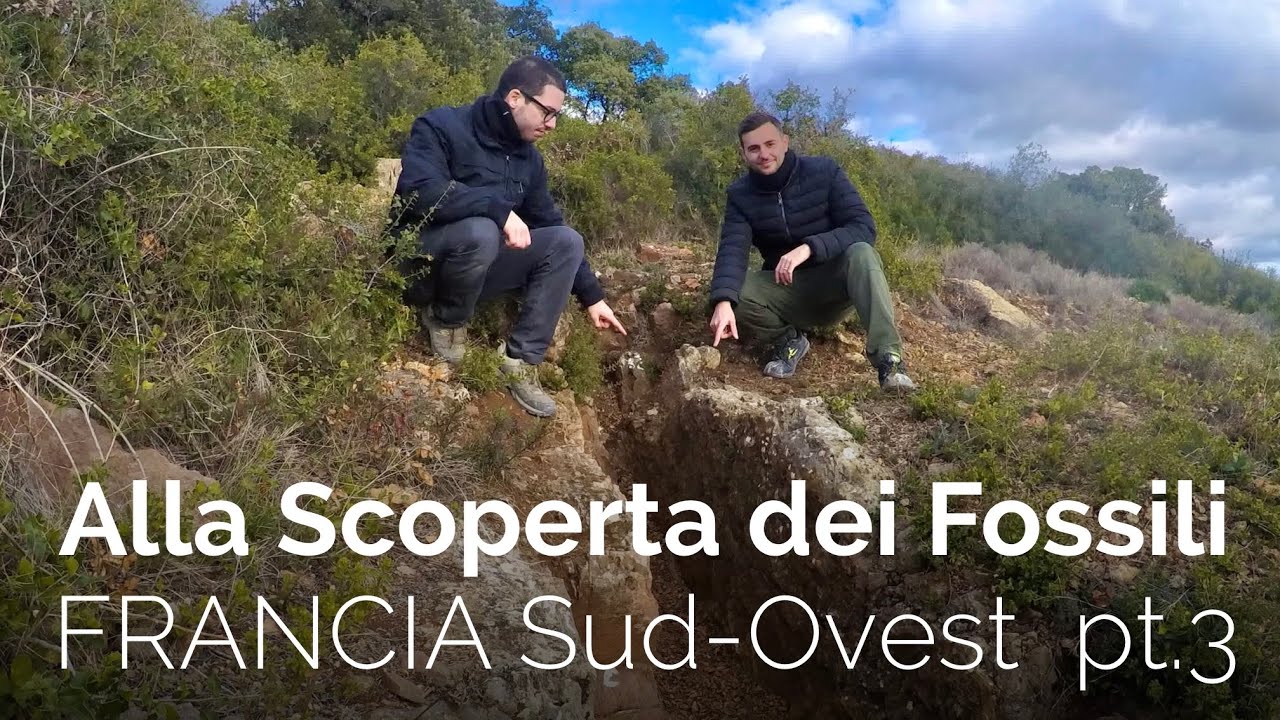 Alla scoperta dei fossili | FRANCIA Sud-Ovest | pt.3
