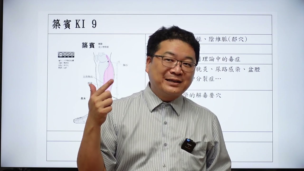 築賓穴 解毒有妙用 照海穴原理講解  初學者的12經絡針灸課 第十一堂 足少陰腎經