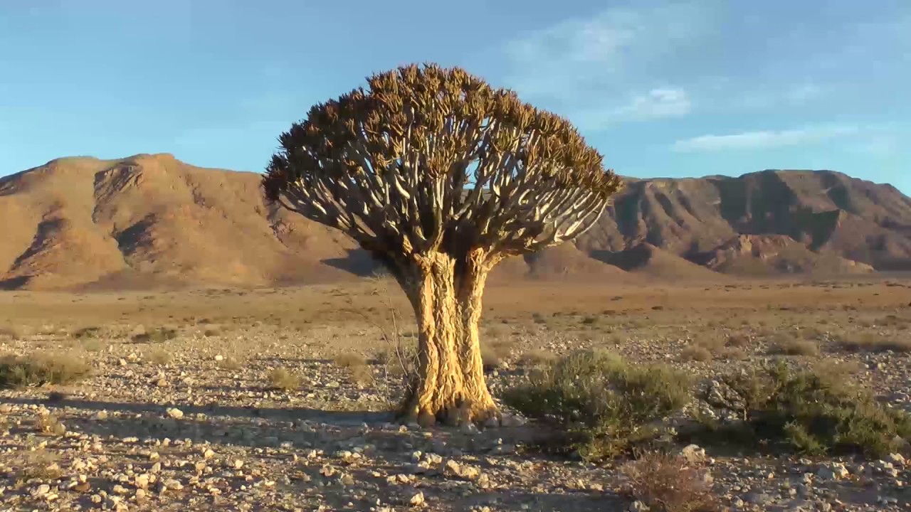 Namibia - Ein Reisebericht über die Highlights