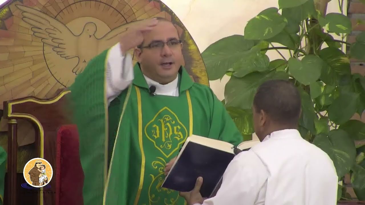 Celebración Eucarística -  VI Domingo del tiempo Ordinario, 15  feb  2026