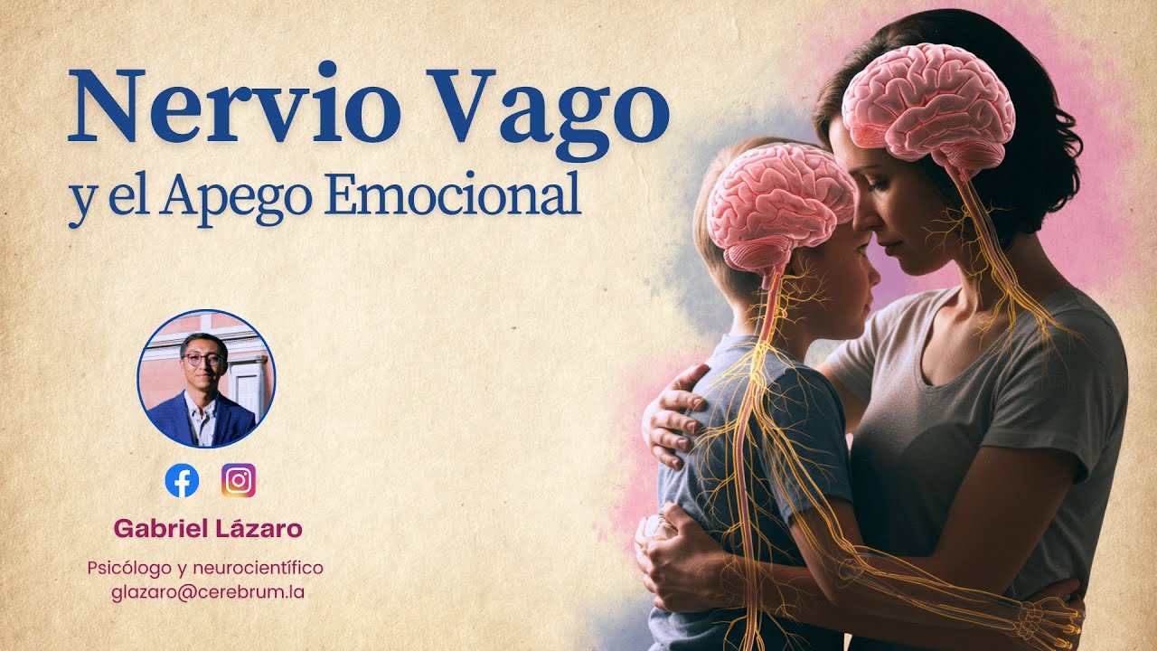 Nervio Vago y Apego Emocional - Conferencia Gabriel Lázaro Cruz | CEREBRUM