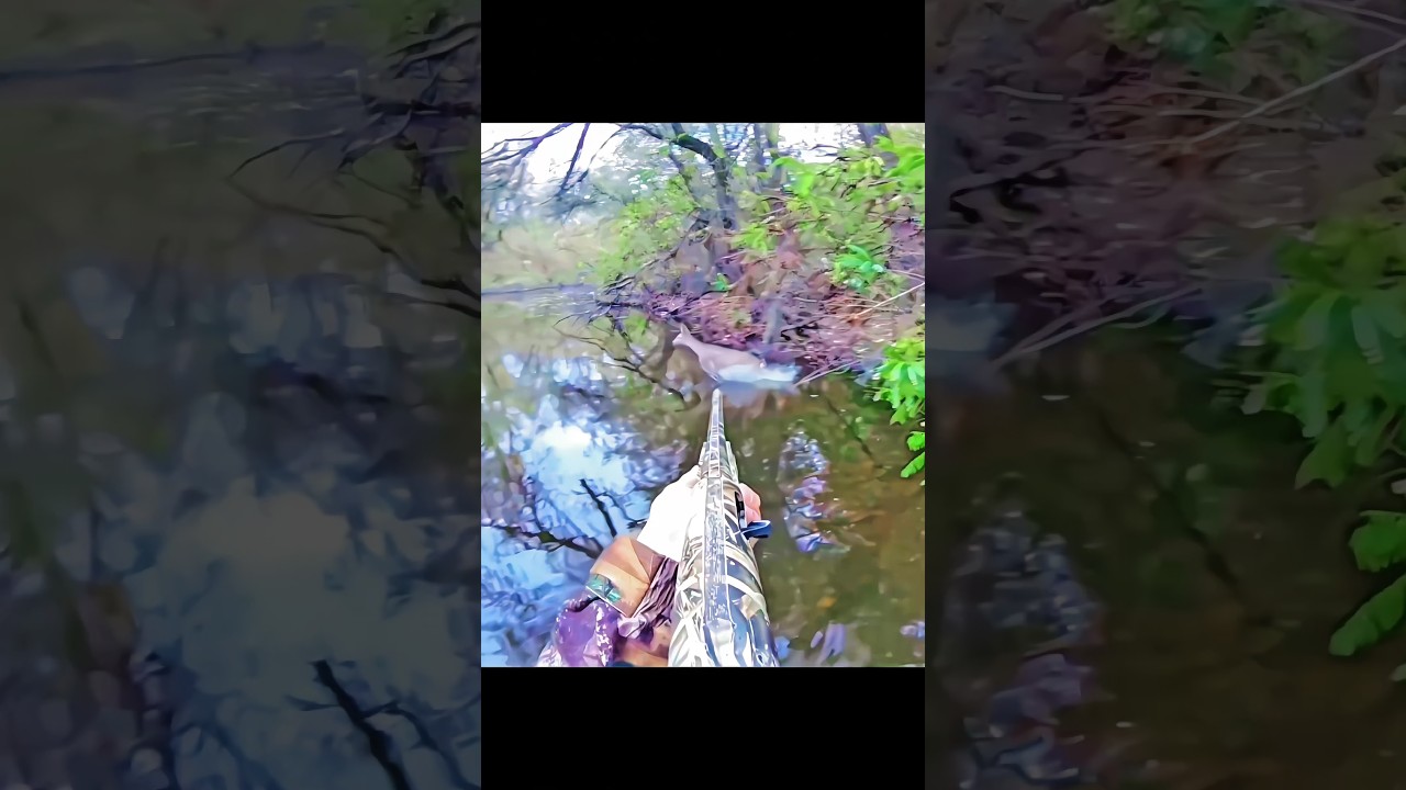 double deers hunting in water #archery#deer#moose #bow#caccia#hunting #deerhunting#bowhunting
