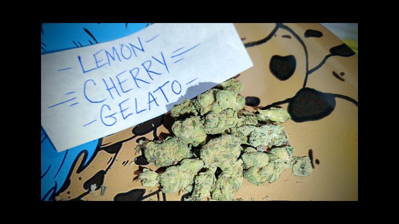 LEMON CHERRY GELATO - UNKNOWN VENDOR - THCA