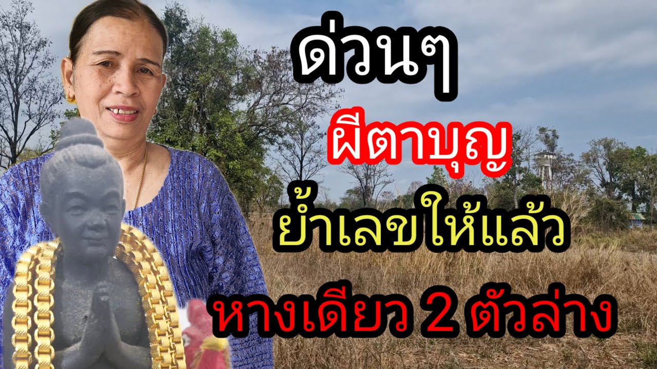 ผู้เฒ่า..พารวย,, Channel กำลังถ่ายทอดสด! ผีตาบุญยำเลขให้แล้วหางเดียว 2 ตัวล่าง