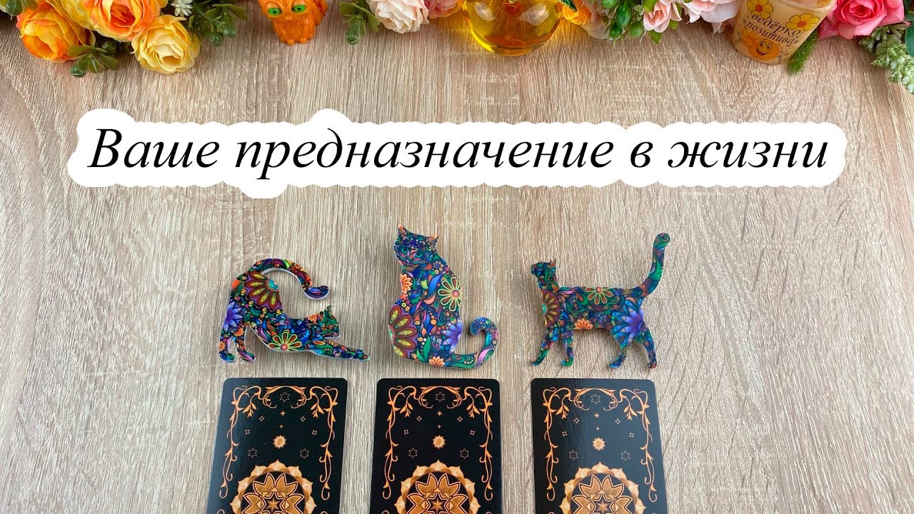 ВАШЕ ПРЕДНАЗНАЧЕНИЕ В ЖИЗНИ гадание Карина Захарова
