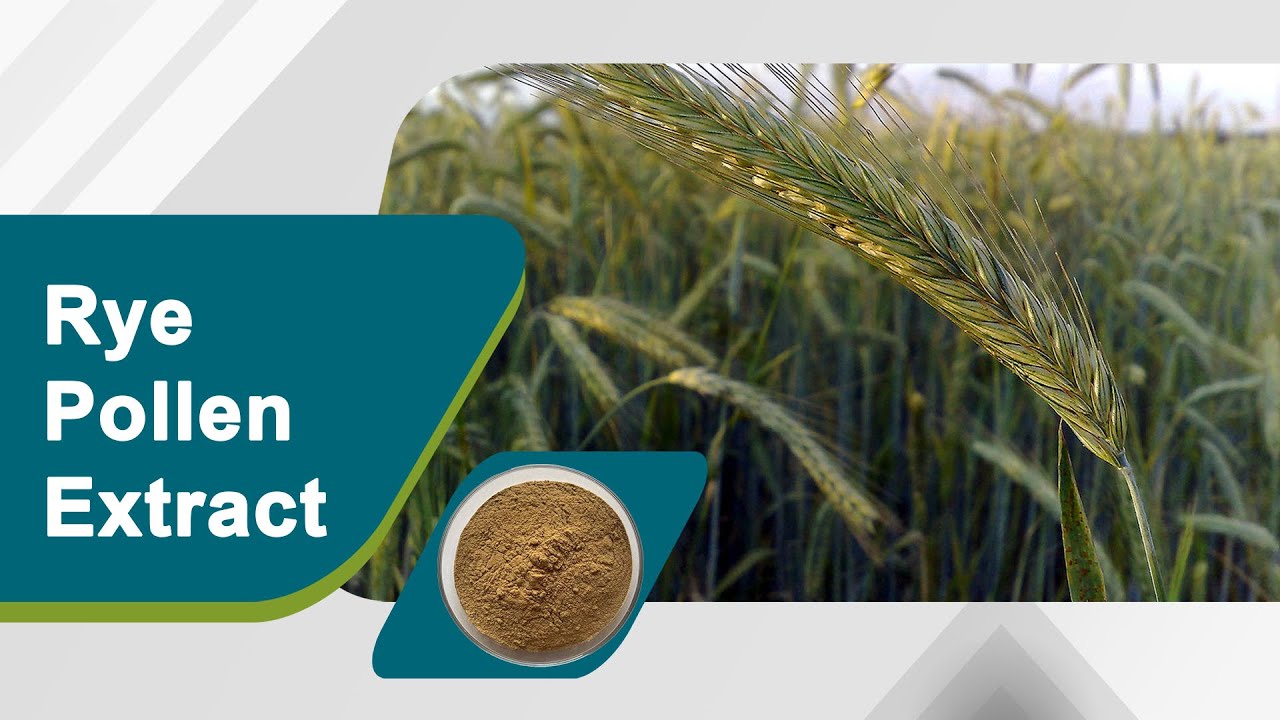 What is Rye Pollen Extract?
