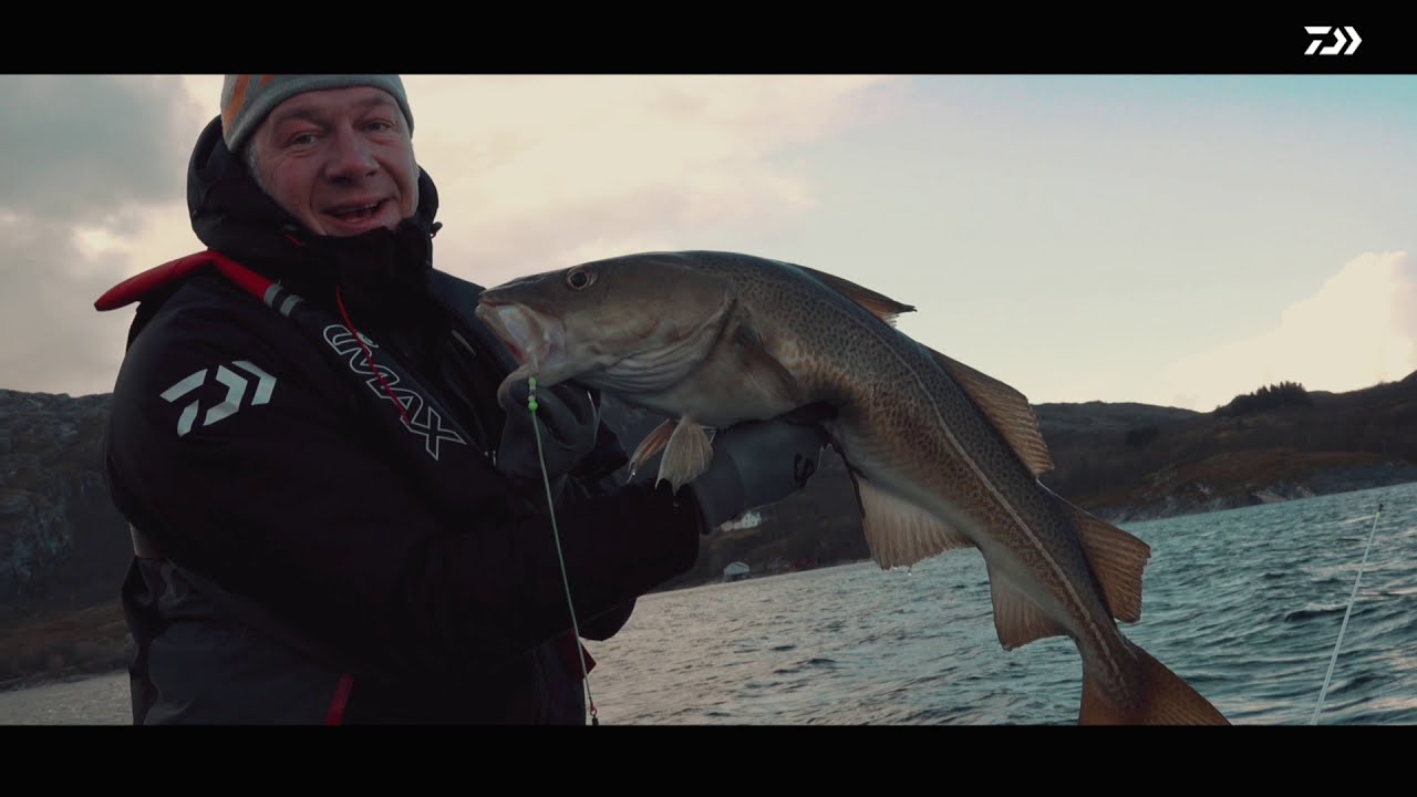 DAIWA: GRANDWAVE Naturk&ouml;der-Vorfach 