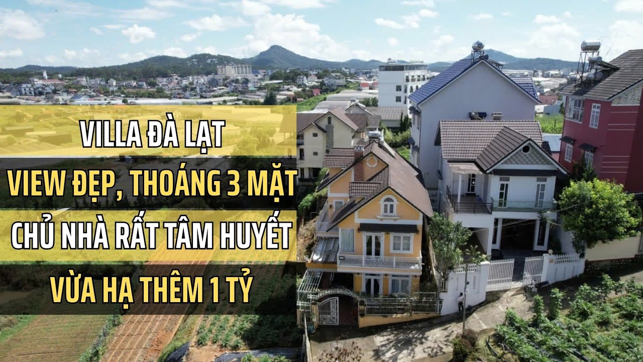 VILLA ĐẸP ĐÀ LẠT, khu vực hiếm, VIEW thông, đỉnh Langbiang, chủ nhà rất TÂM HUYẾT - hạ thêm 1 tỷ