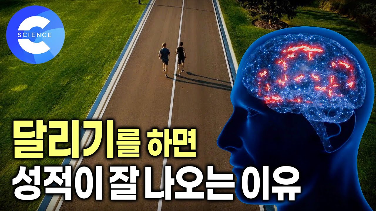 달릴 때 우리 몸과 뇌에선 어떤 일이 일어날까? 🧠 달리기의 재발견 | 지식채널e