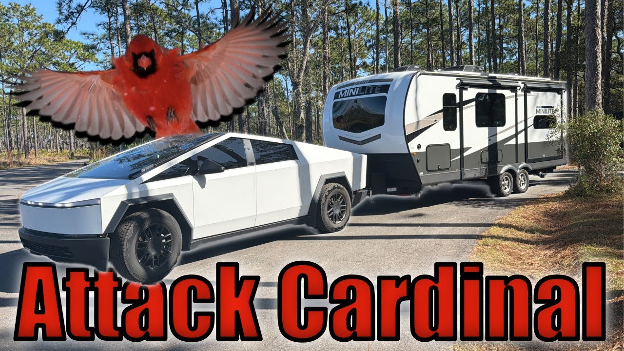 Cybertruck Towing RV to FL State Parks: Manatee Springs & Ochlockonee River!