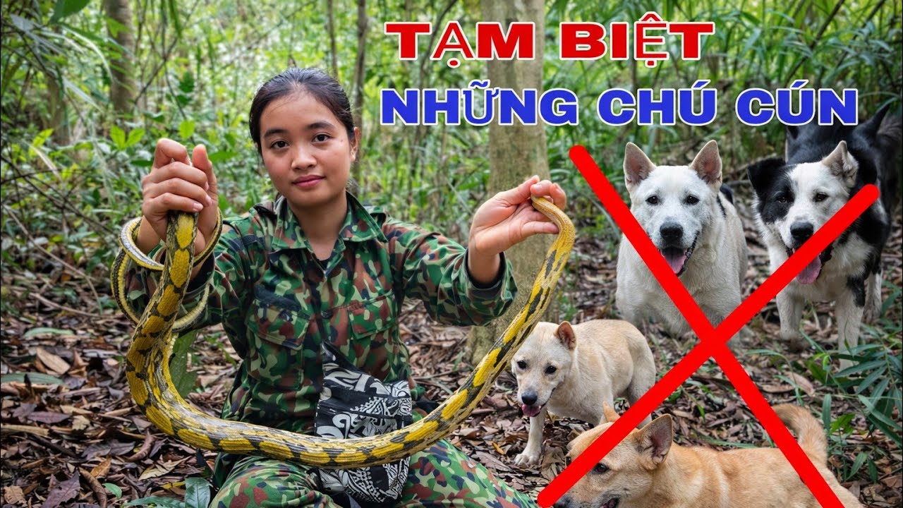TẠM BIỆT NHỮNG THÀNH VIÊN NHỎ / 4 CON C.H.Ó THÔNG MINH LẦN LƯỢT BỊ KẺ GIAN XUỐNG TAY !